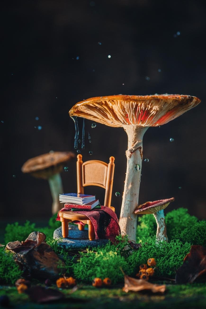 How Long Do Magic Mushrooms Take to Kick In: Key Insights