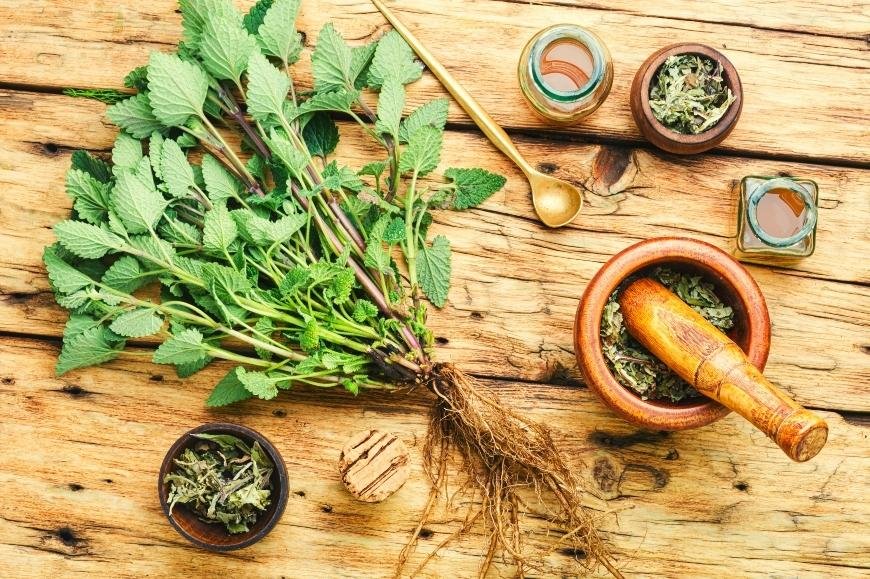 The 3 Best Vape Herbs for Libido