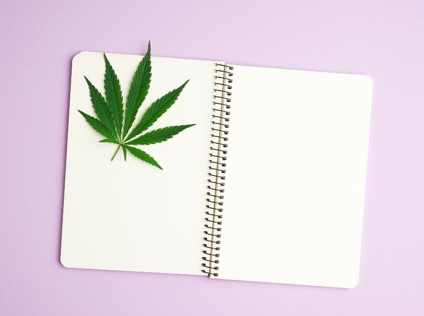 The Best Books for Growing Cannabis
