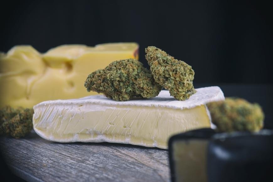 The Best Cheese Cannabis Strains
