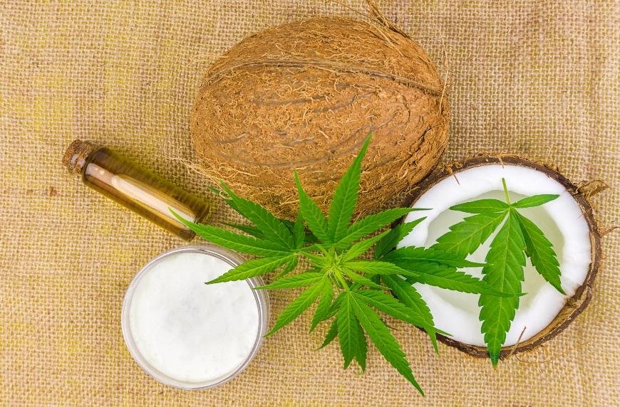 How to Make Cannabis Coconut Oil