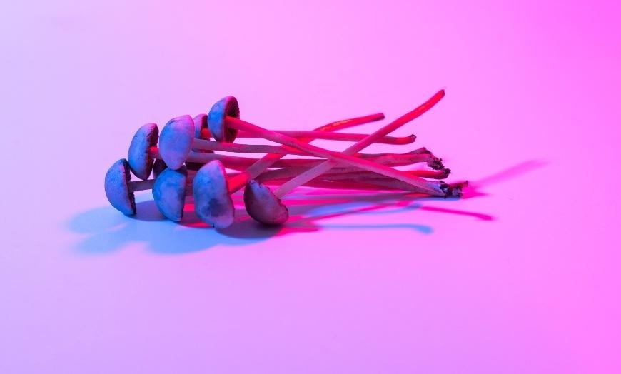 What You Need to Know About Psilocybin Tolerance