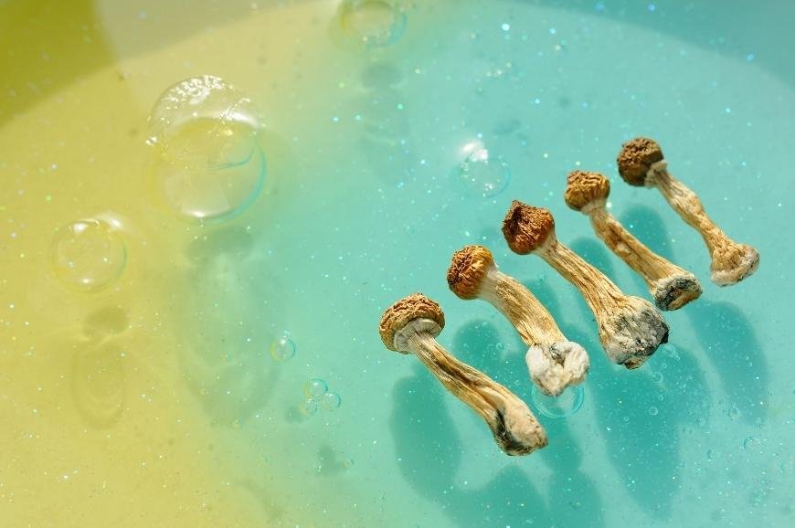 What Is Blue Bruising on Magic Mushrooms?