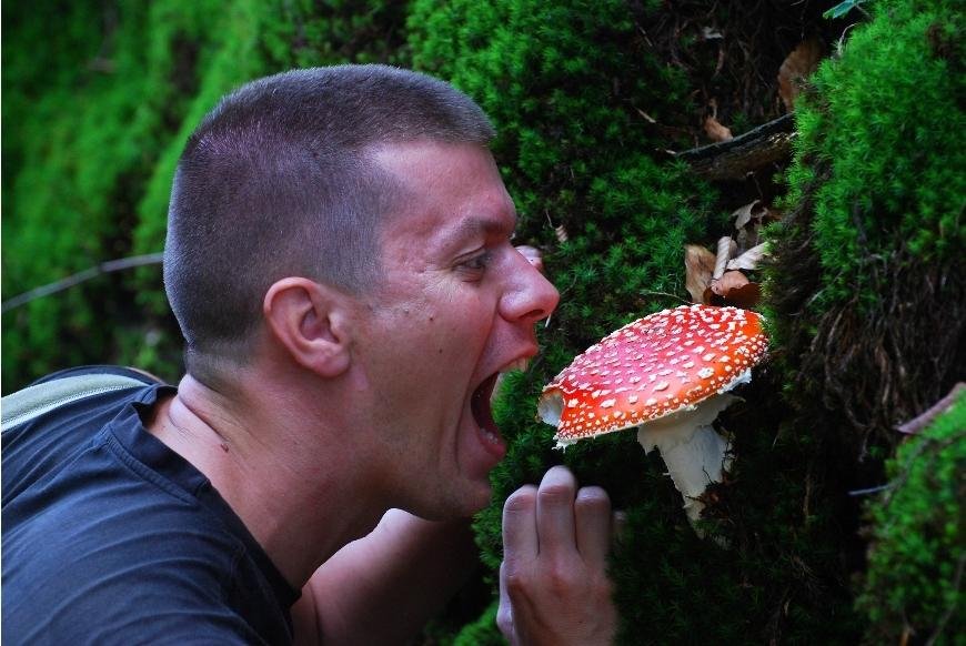 Jak chutnají kouzelné houby?
