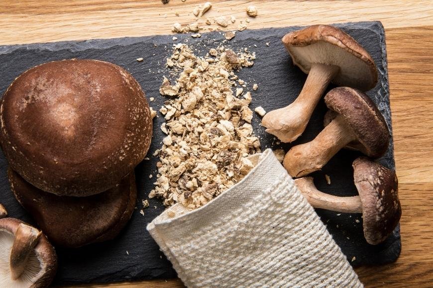 The Best Magic Mushroom Recipes